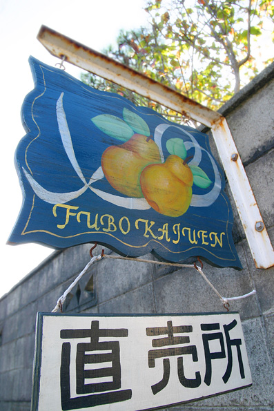 061003_639.jpg