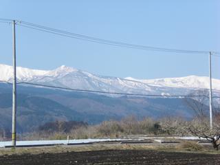 2010_04300024.JPG