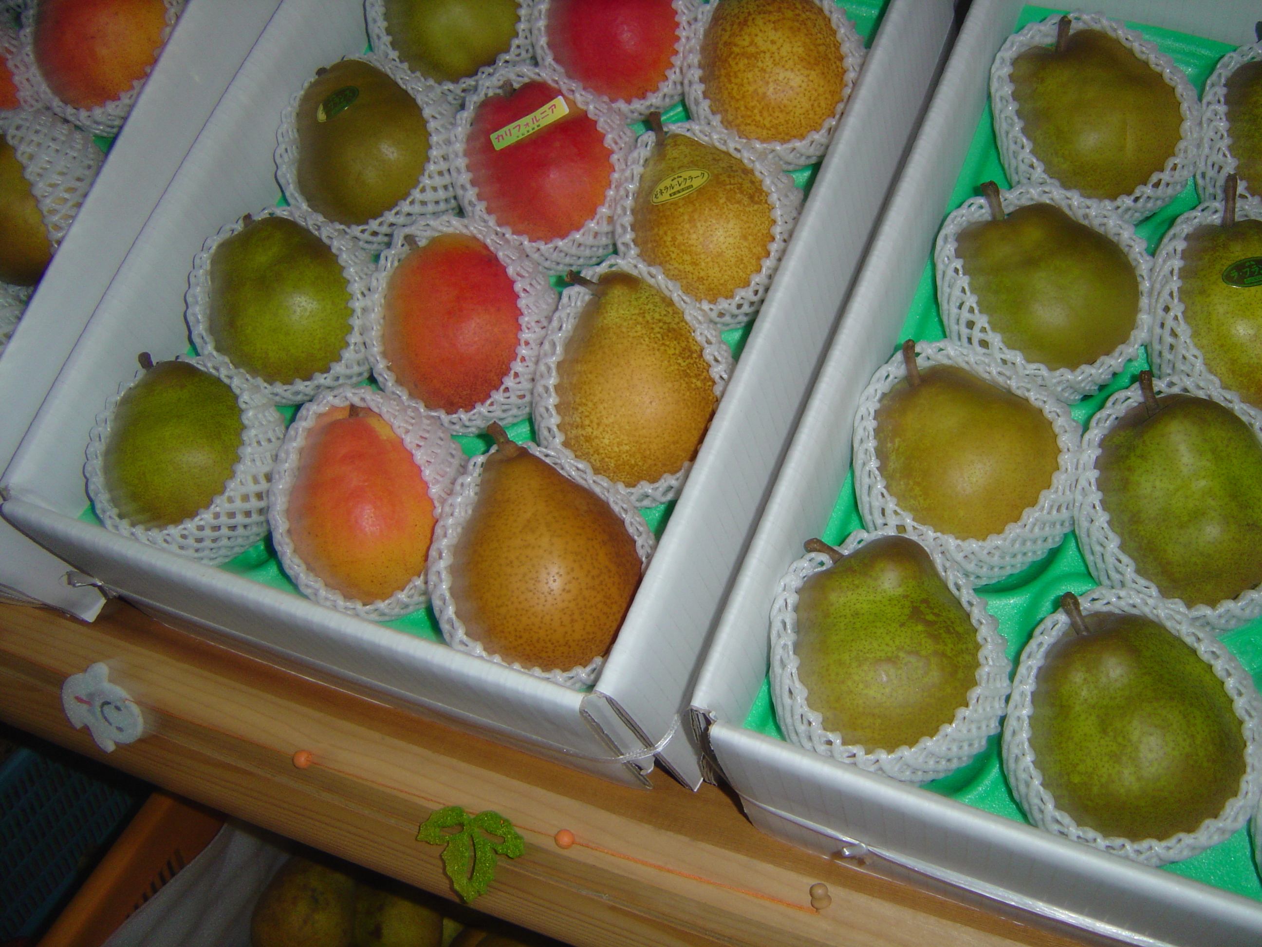 DSC03514.JPG