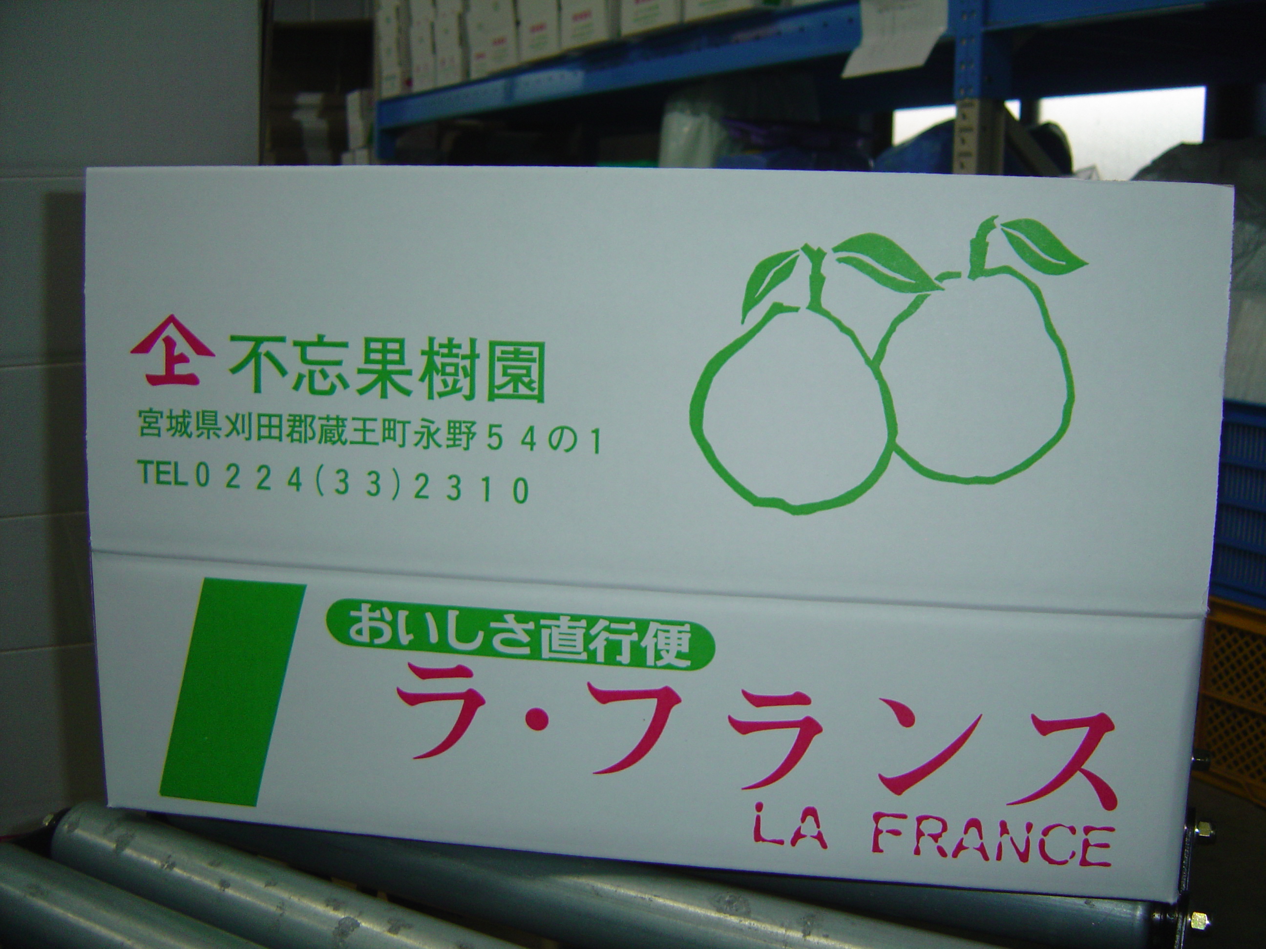 DSC03516.JPG