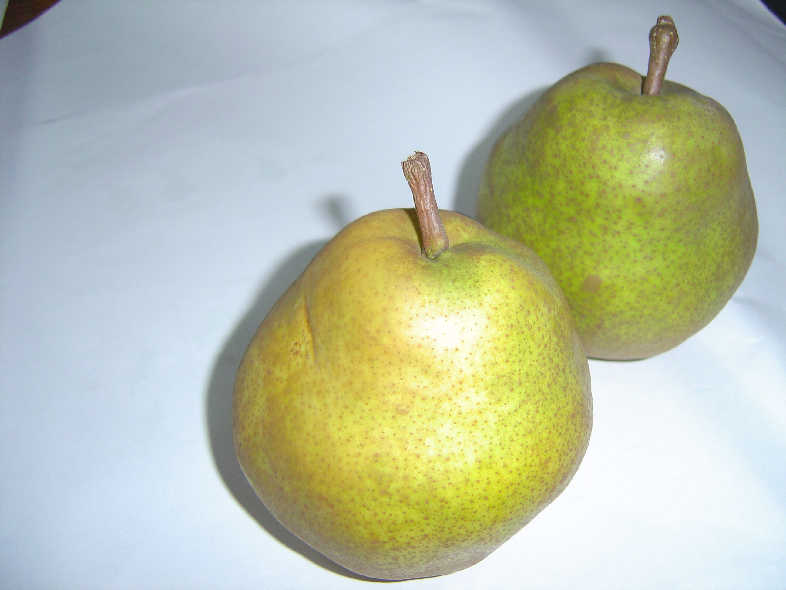 DSC03520.JPG
