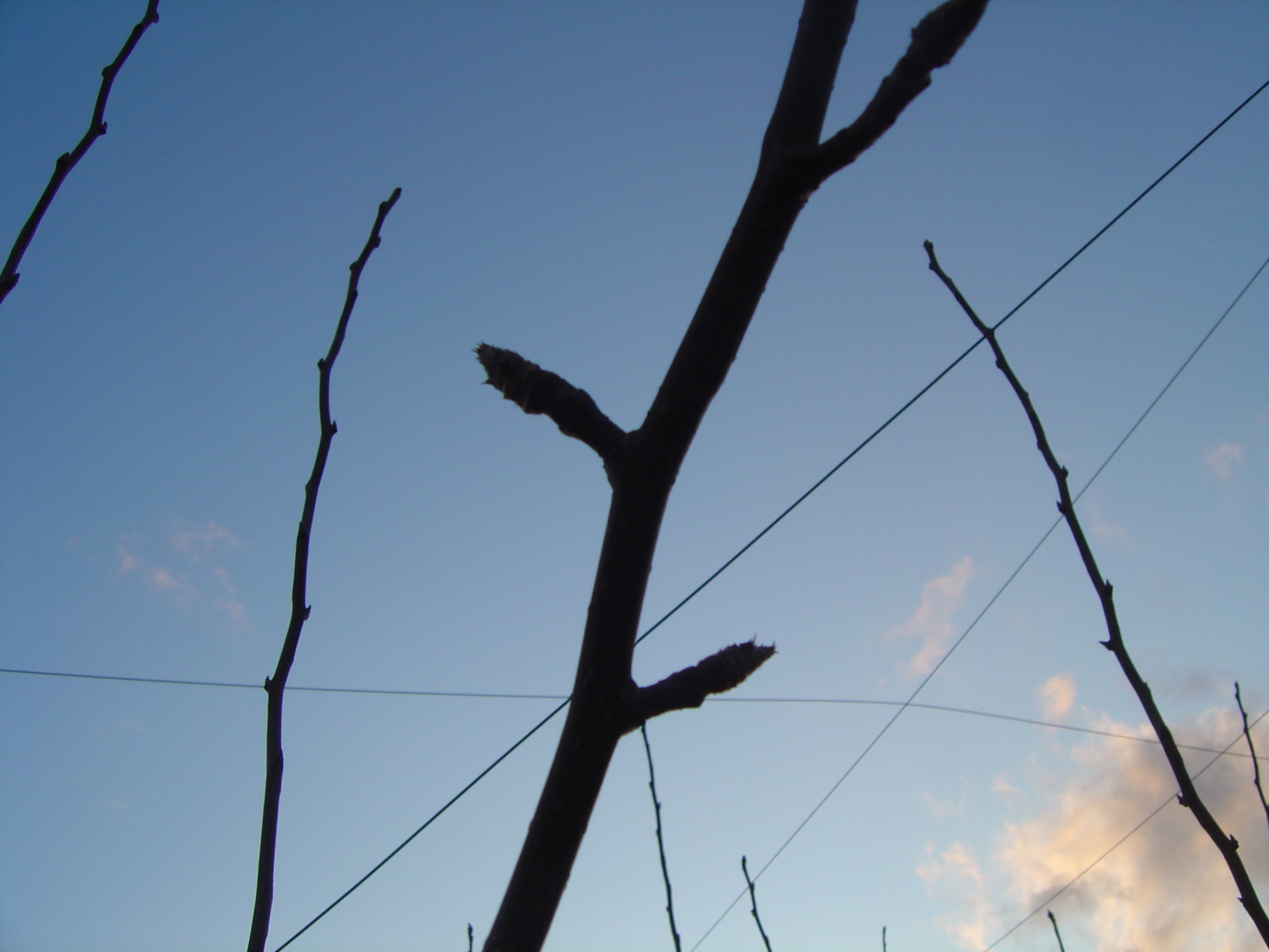 DSC03586.JPG
