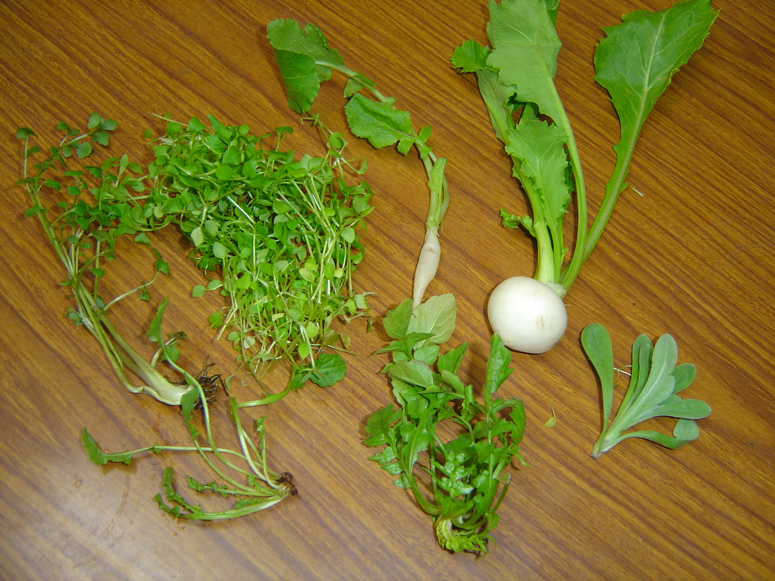 DSC03597.JPG