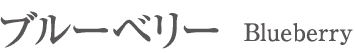 ブルーベリー Bruebery