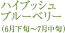 ハイブッシュブルーベリー（6月下旬～7月中旬）