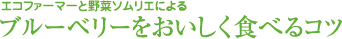 ブルーベリーをおいしく食べるコツ