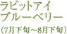 ラビットアイブルーベリー（7月末～8月中旬）