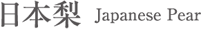 日本梨 Japanese Pear