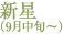 新星（9月中旬～）